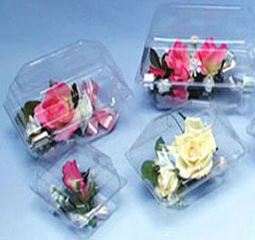 Corsage Boxes Clear – Boxes Sleeves and More of Fenton, Missouri